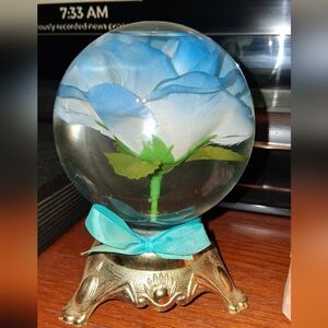 Blue Rose Inside Globe